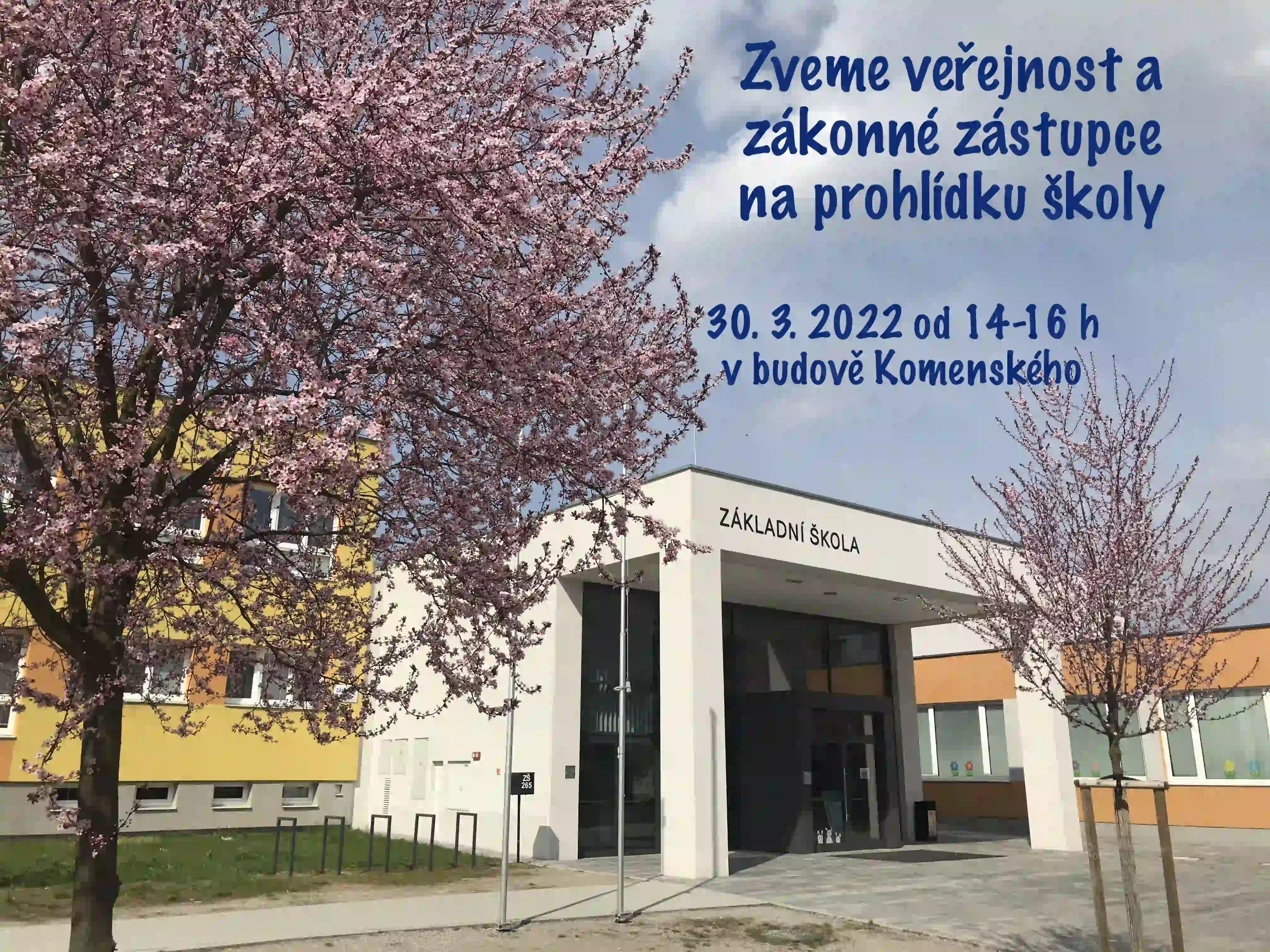 den otv dveri