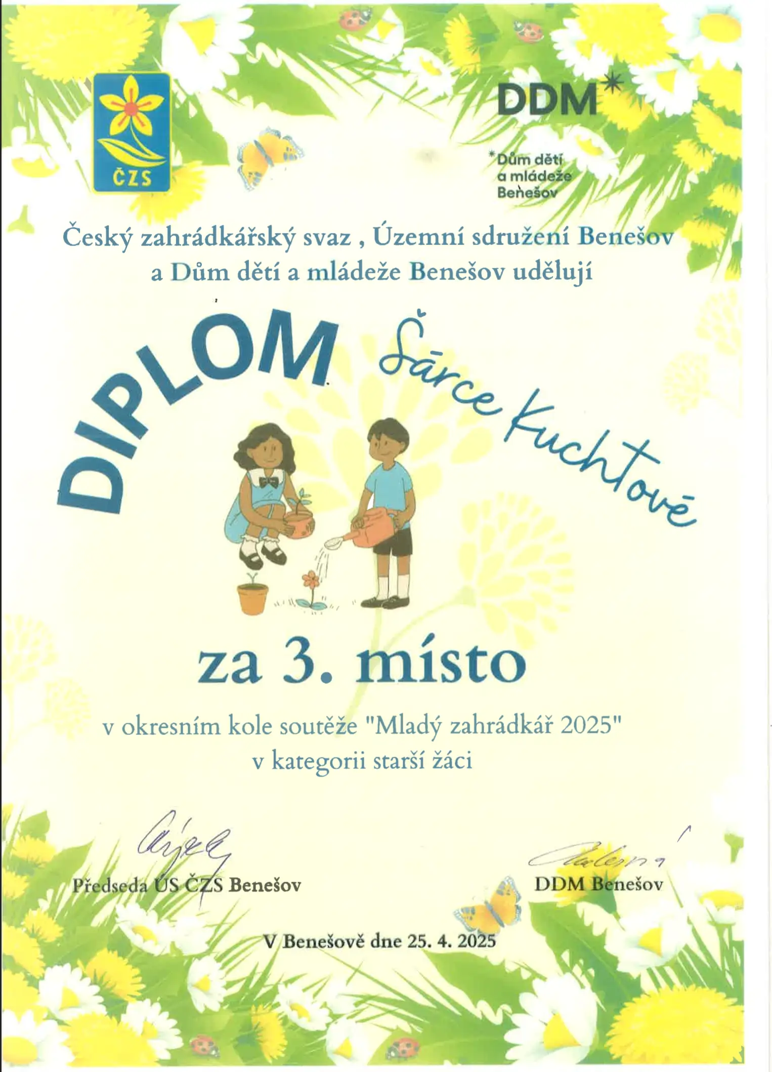 diplom