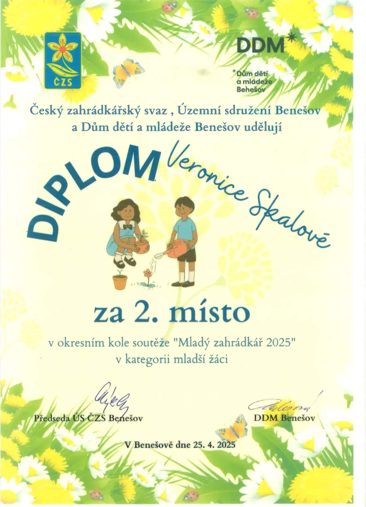 diplom