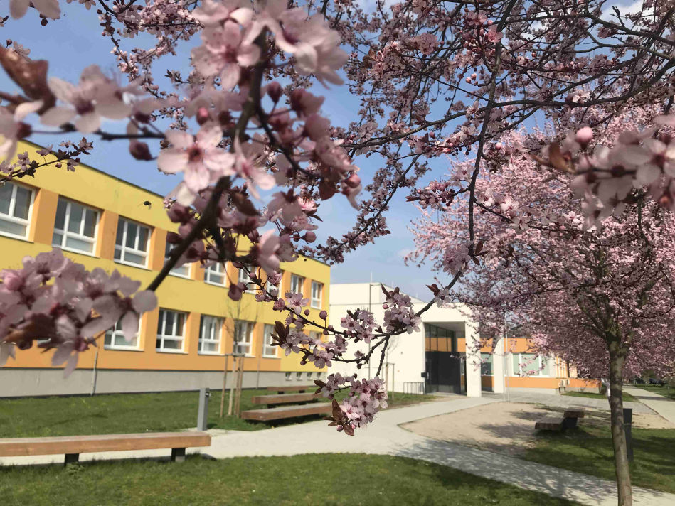 zš